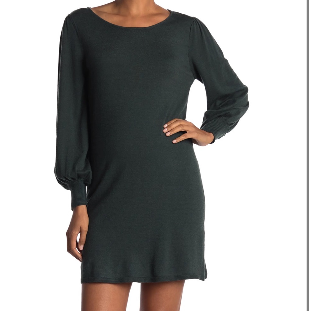Size Lg Never worn Green A-Line Sweater Dress with Tag